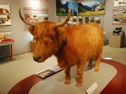 cJ擙X͂̏Zl̋̔ق̓eʐ^1