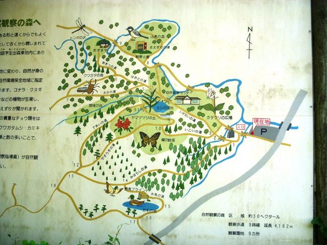 �����R���R�ώ@�̐X�̈ē��}�ł��B_���s�����R���R�ώ@�̐X