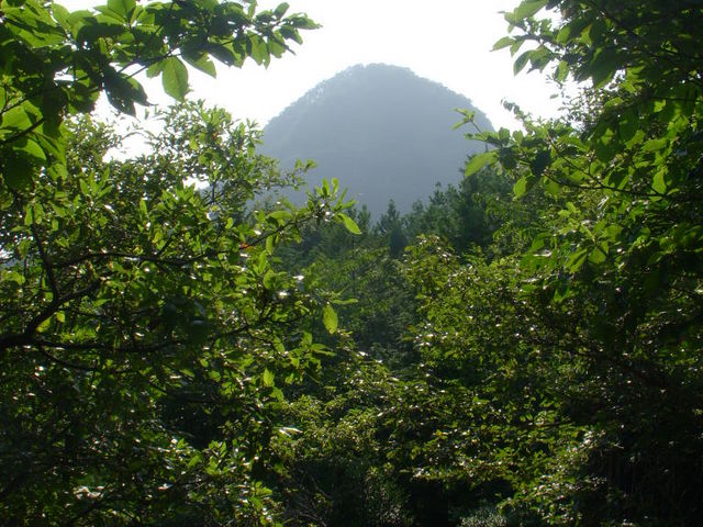 �݂͂炵�̓�����݂鑾���R�B�����m�����邱�Ƃ��ł��܂��B_���s�����R���R�ώ@�̐X