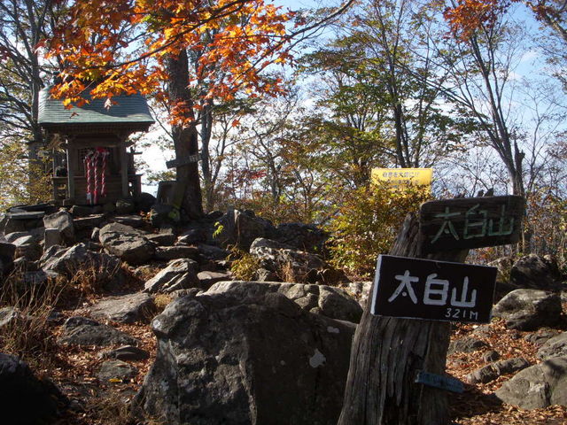 �����R�R���ł��B���[�v�A����o��K�v������܂��B_���s�����R���R�ώ@�̐X