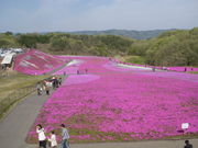 ̎sLł𗬃Z^[̓eʐ^2