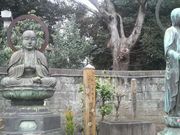 Ƃ񂳂̏iጩj̓eʐ^5