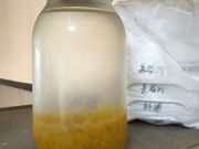 ܂Ƃ񂿂񂳂̐R@Hق̓eʐ^4