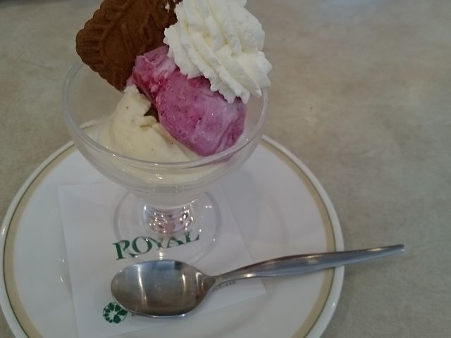 JVXƃoj̃ACX_CzXg ˔XiRoyal Hostj