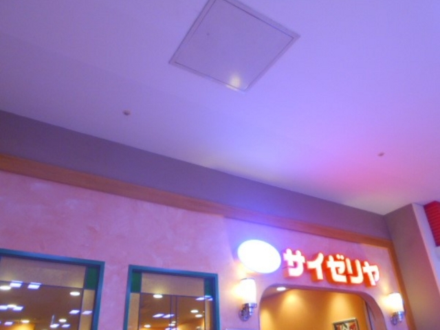 X}C̃TC[WXRVeB[ΓX̓eʐ^1