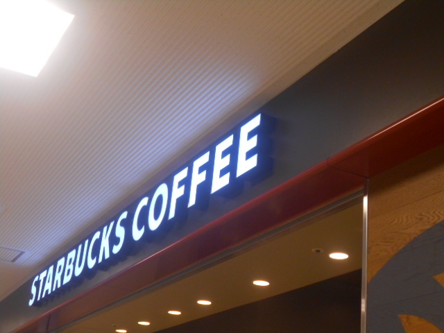 wOɂ܂_X^[obNXER[q[ ޗǐ厛wOX