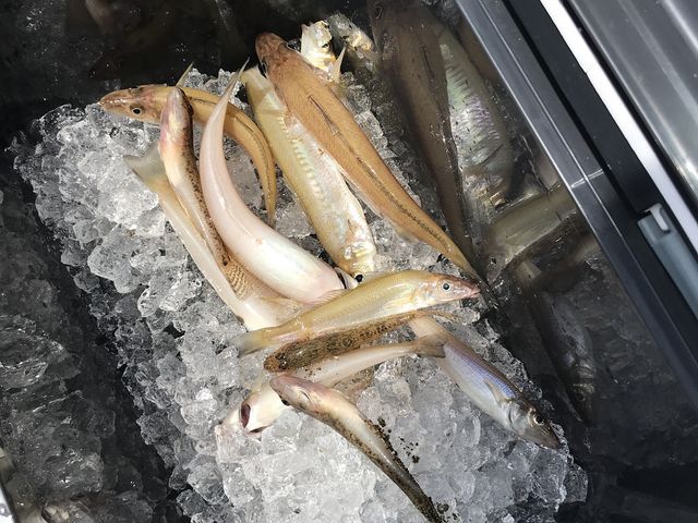 �務�ł���_�݂��ɉB�����i�������ȏW�Ϗ����ƂƁj