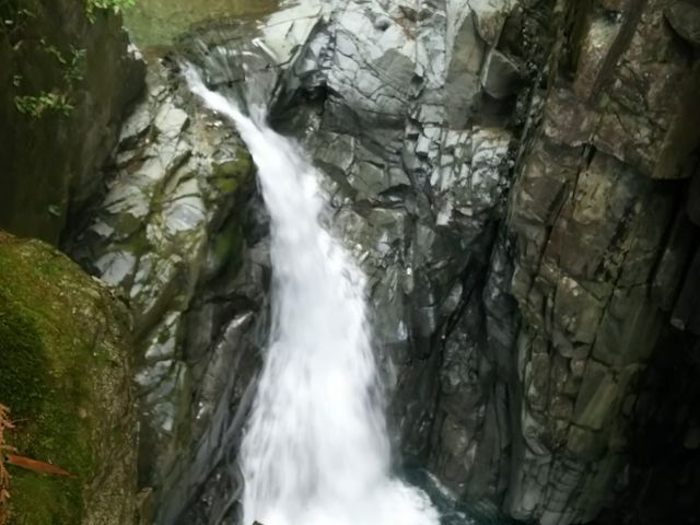 �s����͌����낵�܂��B_�s����