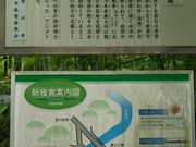 ��݂Ԃ���̐V�Q�o�̏��̓��e�ʐ^2