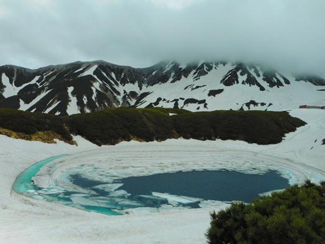 �X���Ƃ������Ă��܂���_�݂��肪�r