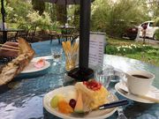 ƂɂȂَ̂qȒX@ႢԂ̓eʐ^1