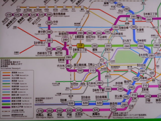 �s�c�V�h���V�h�O���ډw