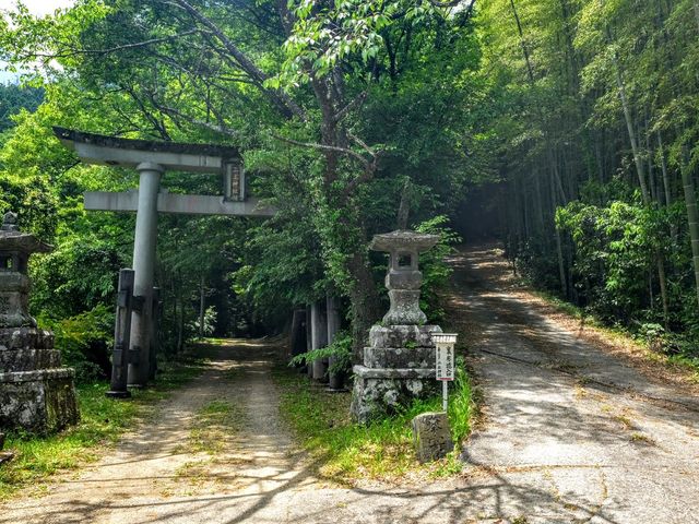 �҂��ɂ���������̓��_�Ђ̓��e�ʐ^1