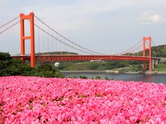 �Ƃ�����񂳂�̕��˃c�c�W�ւ̓��e�ʐ^1