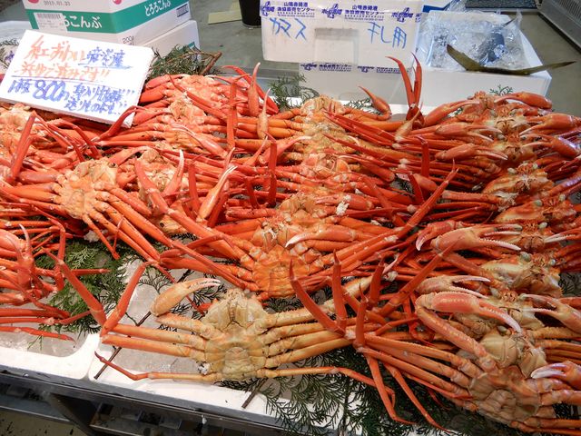 ����Y�x�j�Y���C�K�j_���̉w �|�[�g�ԍ�