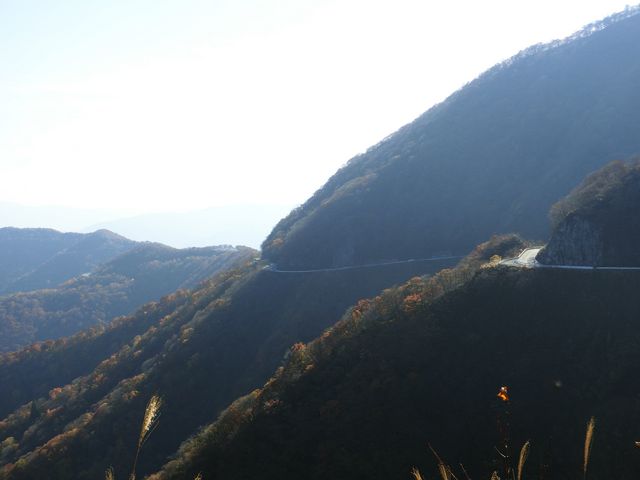 XJCeXԏ߂猩hCuEFC_ɐRhCuEFC