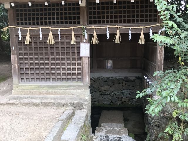 �萅_�F����_��
