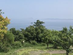 yoshi̖t̒ււ̓eʐ^1