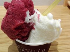 QPIN̂fdk`sdqh`@lhqshkknւ̓eʐ^1