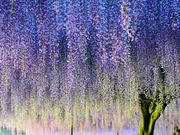 _ChKXg̔|̋ړ̓eʐ^1