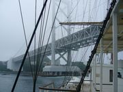 �T����񂳂�̖�̓��e�ʐ^1