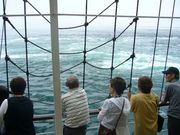 �T����񂳂�̖�̓��e�ʐ^2