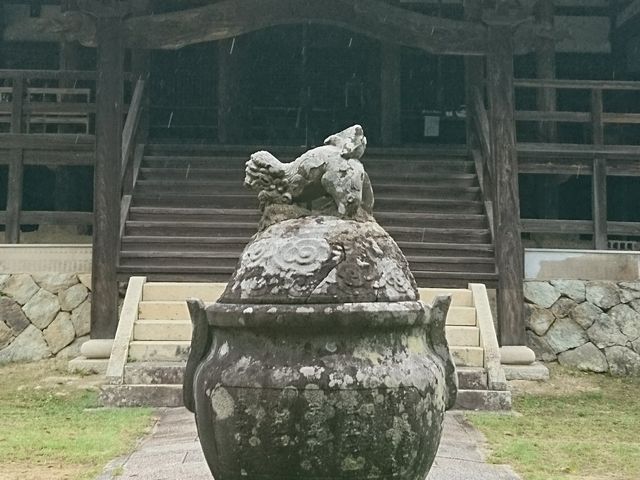 ����������̕񉶎��{���̓��e�ʐ^1