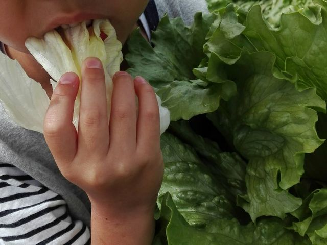 ���܂��Ĕ��������ł�_���̉w ������[�ޏ��a