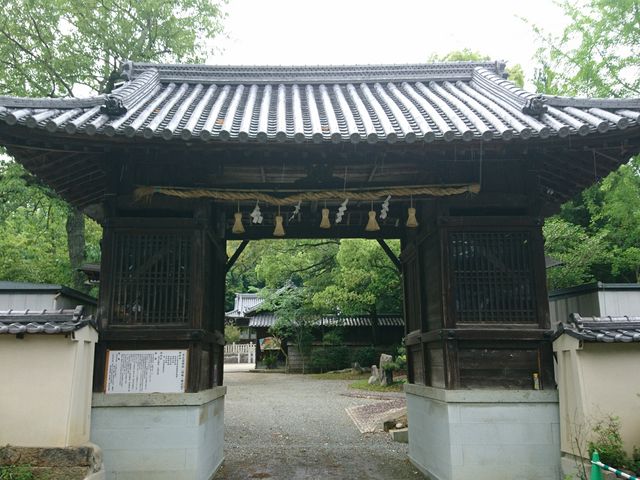 ����������̕��V���_�Ђ̓��e�ʐ^1