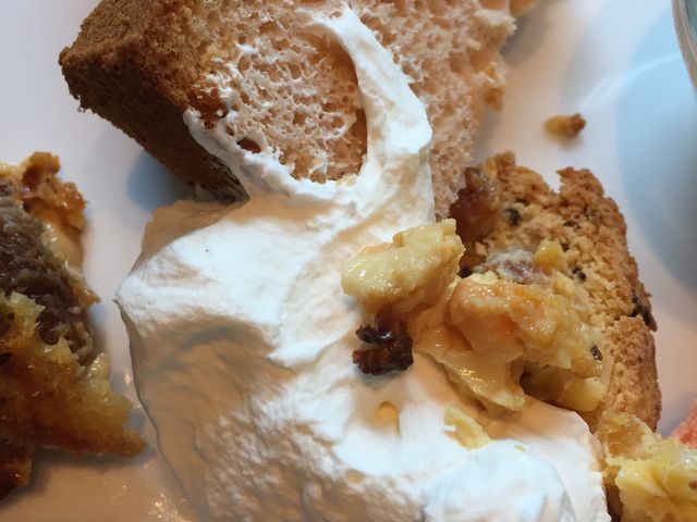 n[rXGg_HERBIS PLAZA ENT