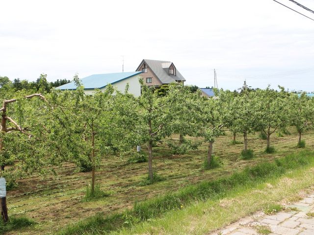 �����T�S�U���͉ʎ���������_������n��ʎ���