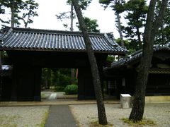 ͂񂳂̈ɒBƂ̖i]˓Ẳjւ̓eʐ^1