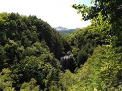 ݂Ԃ̑PܘY̑ւ̓eʐ^1