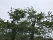 topologyٌ̔̍̓eʐ^1