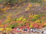 C[XgEbh̏㍂n̍gt̓eʐ^2