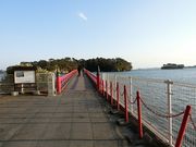 ɂǂ񂳂̕YJtFxCh̓eʐ^1