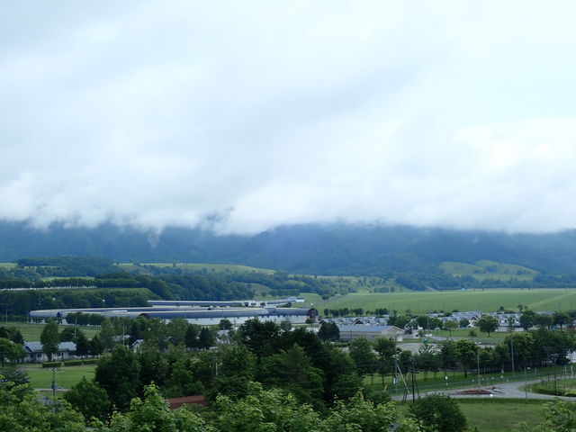 JRA�����琬�q��