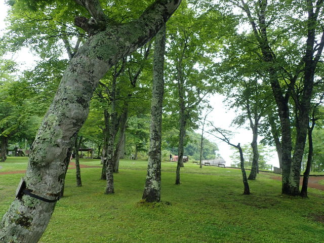 }Cann̖쒹̐X̓eʐ^1