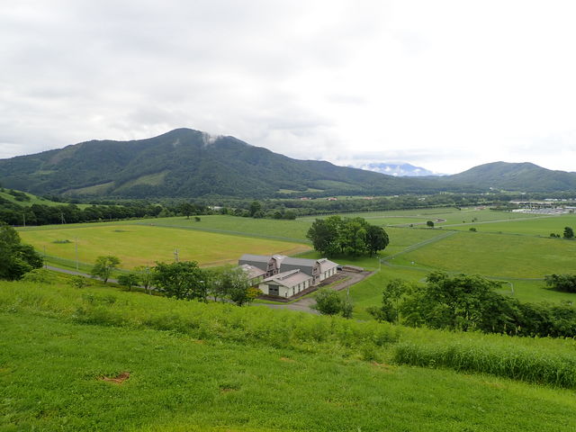 JRA�����琬�q��