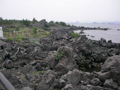 こばさんの大正溶岩原の投稿写真1