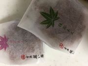 񂯂񂳂̓ LwAbZX̓eʐ^1