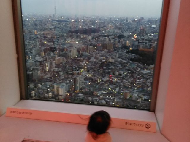 景色もいいです♪_サンシャイン60展望台 てんぼうパーク