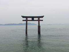 faran̔颐_Ђւ̓eʐ^1