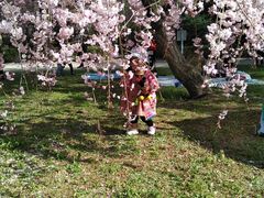 Ă̂܎s@s̐Xւ̓eʐ^1