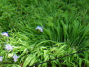 mitůxl̐XLv̓eʐ^1