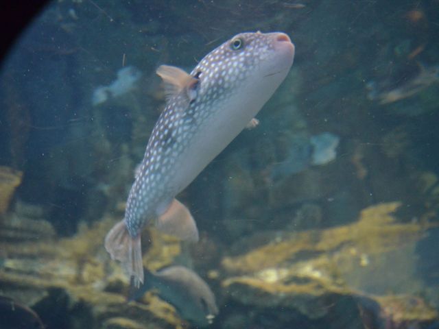 �t�O�����킢���B_���֎s�������̂��������فE�C����