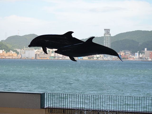 ֖CobNɃWvCJ_֎ŝفEC