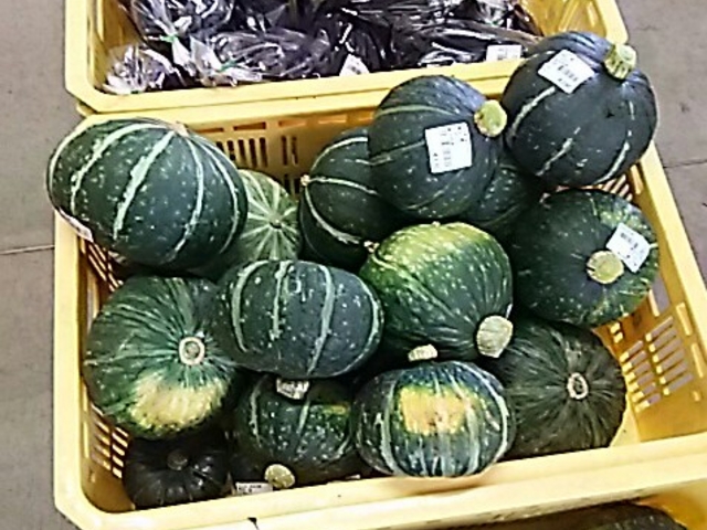 �܂��̉w�A�����h�B_�܂��̉w �V�����h