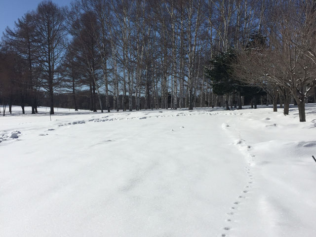 ���X���̍L��_�����ۂ�r���u�W�]��