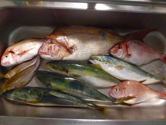 ���l�s�ό��ޑD�g��_���l�s�ό��ޑD�g��